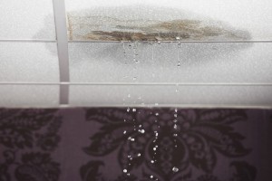 Ceiling Leaks - Leak Detection Carmel, IN