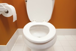 Tips for Buying a Toilet - Plumbing Service Carmel, IN