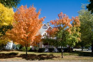 Fall in an Indiana town