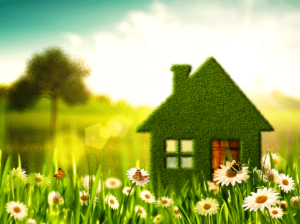 Spring Clean Go Green