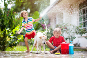 Plumbing tips in summer